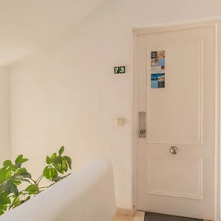 Faro S Matchroom Boutique *